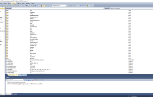 LDAP Browser screenshot 1