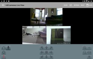 Blue Iris screenshot 1