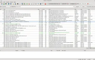 EiskaltDC++ screenshot 1
