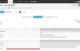 Detailed financial reports: profit margin, estimated vs. actual profit / costs, planned vs. worked time revenue, lost revenue. All in real-time.