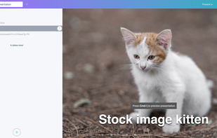 Search stock images and add them to slides with one click
