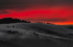 p-hold.com/u/elmofoto/200