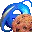 IECookiesView icon