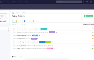 Teamwork.com screenshot 1