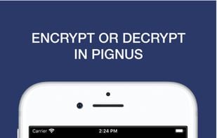 Pignus Encryption screenshot 3