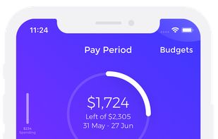 Emma Budget Manager screenshot 2