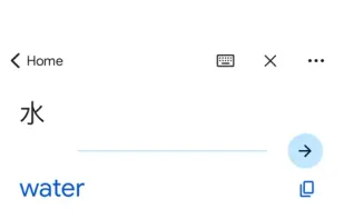 Google Translate screenshot 2