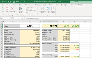 Fundamental financial data for Apple stock.