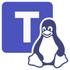 Teams for Linux icon
