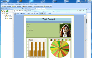 BI Studio Report Viewer