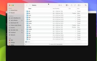 anylinuxfs screenshot 1