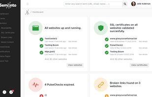 The Semonto dashboard gives you the health of alle websites at a glance.
