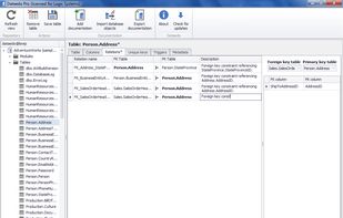 Dataedo screenshot 1