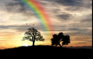 Sun Rise Live Wallpaper screenshot 2