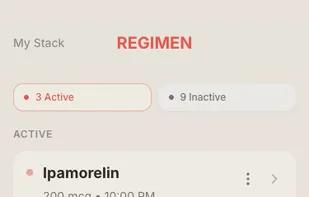 Regimen screenshot 2