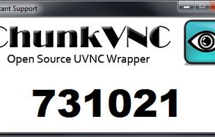 Customizable application's window