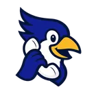 CallBird icon