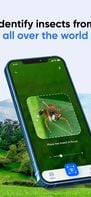 Bug Identifier screenshot 1