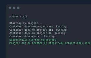 DDEV start command