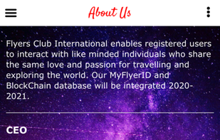 The Flyers Club screenshot 2