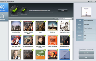Wondershare TidyMyMusic screenshot 1