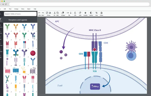 BioRender screenshot 1