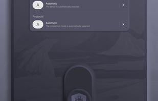 Bear VPN screenshot 2