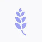 Lavender Photos icon