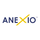 Business IT Solutions - ANEXIO Icon