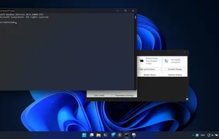 MicaForEveryone screenshot 2