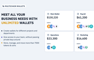 Bizzllet screenshot 1