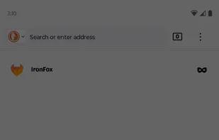 IronFox screenshot 1