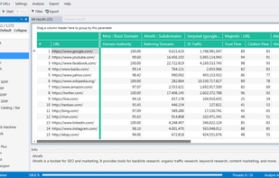 Netpeak Checker screenshot 1