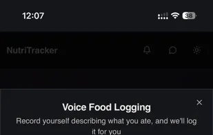 Logging meals/foods via voice on mobile