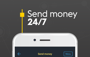 Western Union screenshot 3