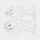 Multiuser Sketchpad icon