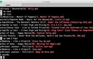 npshell screenshot 2