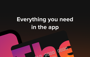 The Credit Thing screenshot 2