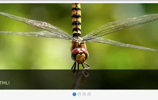 MetaSlider screenshot 2