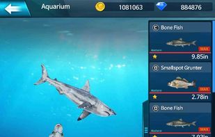 Fishing Championship screenshot 1