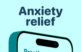 Mindllama screenshot 1