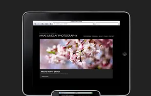 SlideShowPro Director screenshot 2