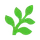 Fern icon