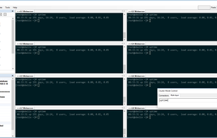 WinSSHTerm screenshot 2