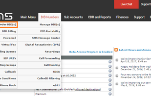 Easy and quick ordering of phone number (DID)