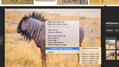 Tinybeest Chrome Extension CTRL-click menu