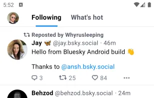 Bluesky screenshot 2