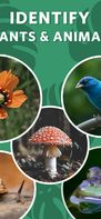 Seek by iNaturalist screenshot 1
