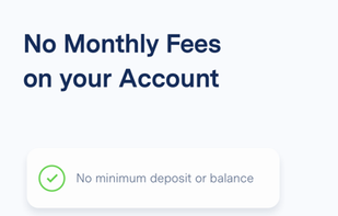 BlueVine screenshot 2