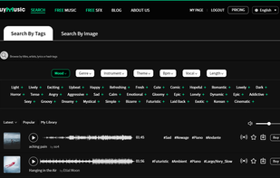 Music Searching Page